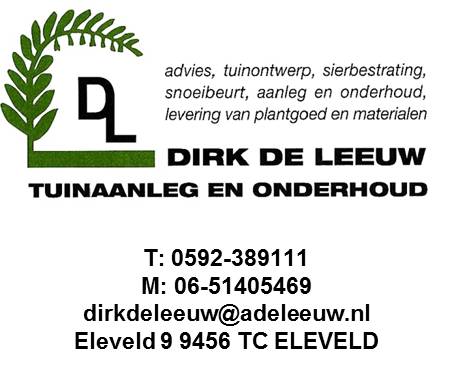 Dirk de Leeuw