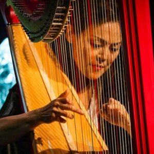 Lavinia Meijer - harp<br>Zondag 15 februari 2026